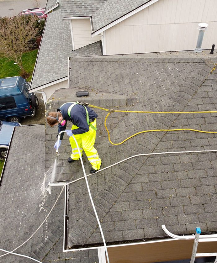 Gutter Cleaning-21